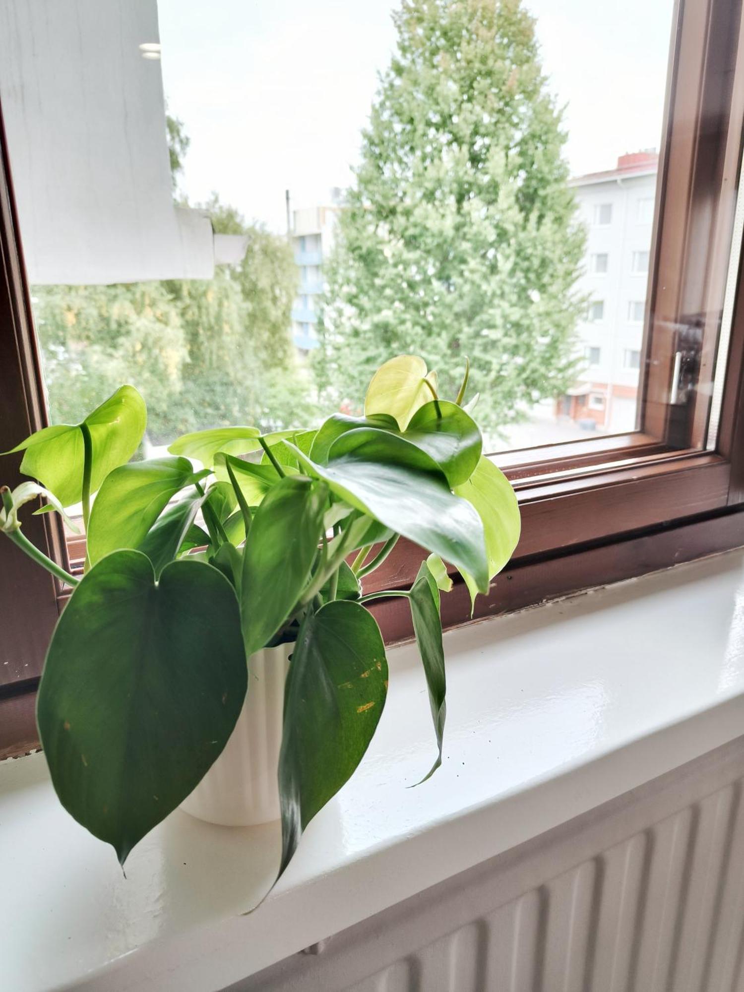 Tieva Lapland Apartment Rovaniemi Bagian luar foto